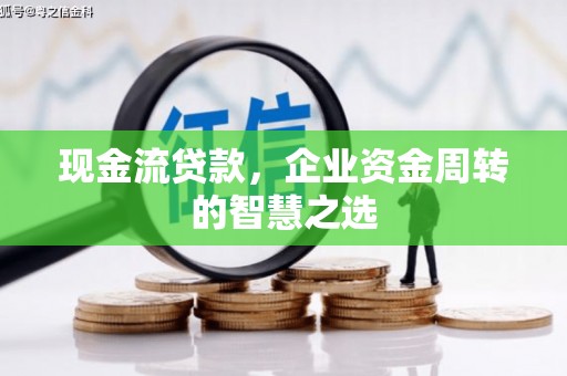 望奎现金流贷款，企业资金周转的智慧之选