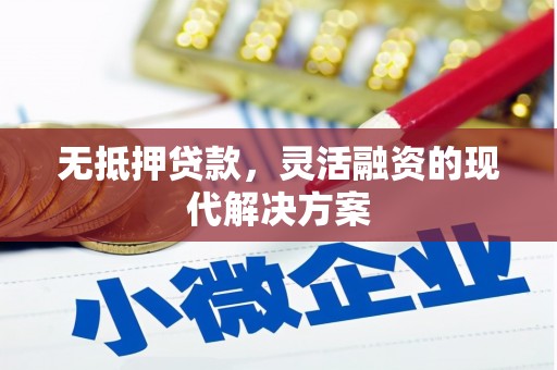 望奎无抵押贷款，灵活融资的现代解决方案