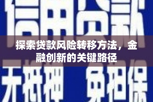 望奎探索贷款风险转移方法，金融创新的关键路径