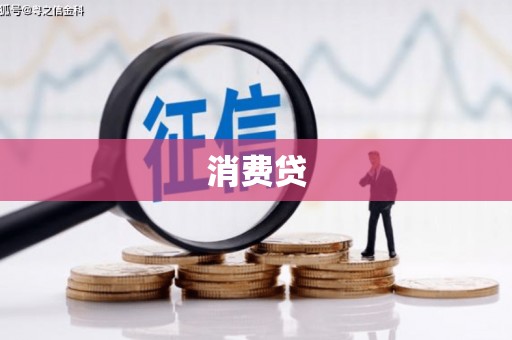 望奎消费贷