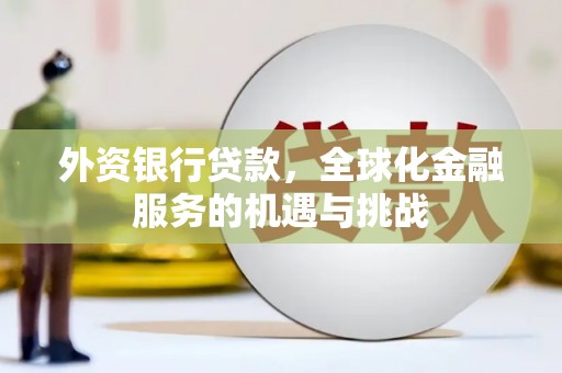 望奎外资银行贷款，全球化金融服务的机遇与挑战