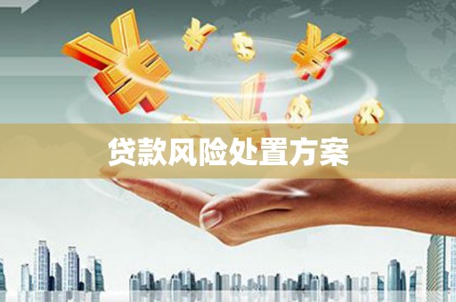 望奎贷款风险处置方案