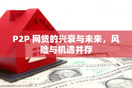 望奎P2P 网贷的兴衰与未来，风险与机遇并存