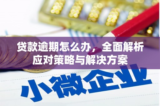 望奎贷款逾期怎么办，全面解析应对策略与解决方案