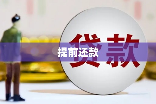 望奎提前还款