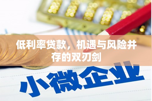 望奎低利率贷款，机遇与风险并存的双刃剑
