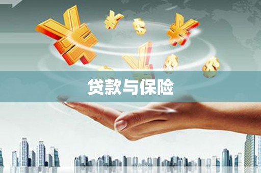 望奎贷款与保险