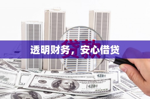 望奎透明财务，安心借贷