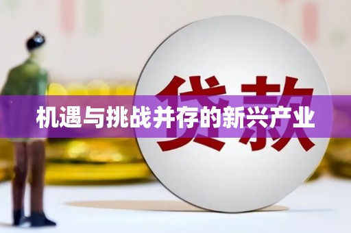 望奎机遇与挑战并存的新兴产业