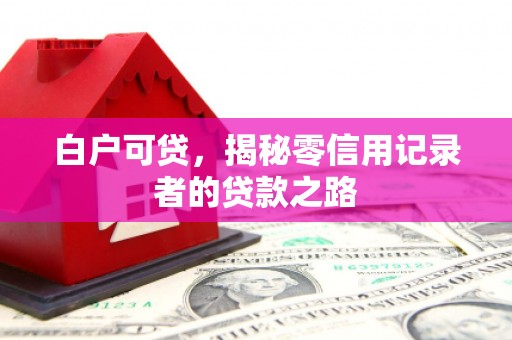 望奎白户可贷，揭秘零信用记录者的贷款之路