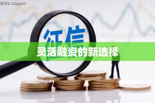 望奎灵活融资的新选择