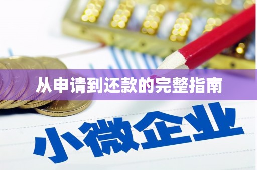 望奎从申请到还款的完整指南