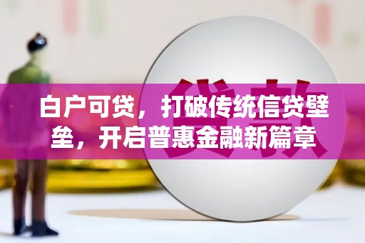 望奎白户可贷，打破传统信贷壁垒，开启普惠金融新篇章