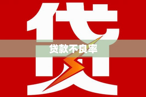 望奎贷款不良率