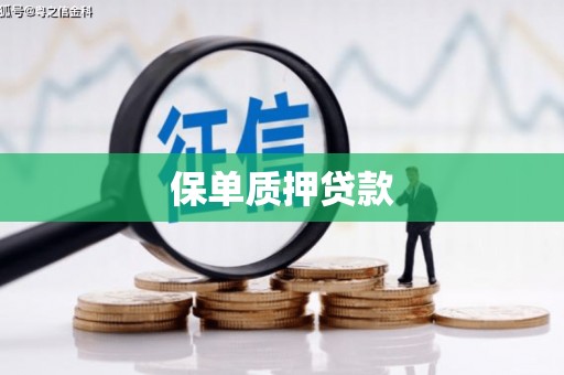望奎保单质押贷款