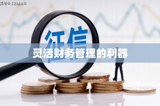望奎灵活财务管理的利器