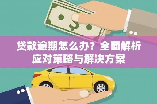 望奎贷款逾期怎么办？全面解析应对策略与解决方案