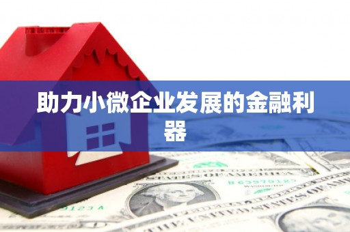 望奎助力小微企业发展的金融利器
