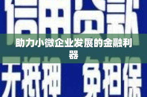 望奎助力小微企业发展的金融利器