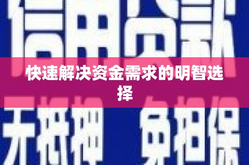望奎快速解决资金需求的明智选择