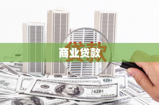 望奎商业贷款