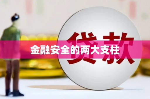 望奎金融安全的两大支柱