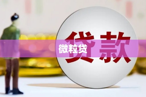 望奎微粒贷