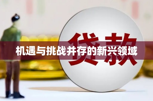 望奎机遇与挑战并存的新兴领域