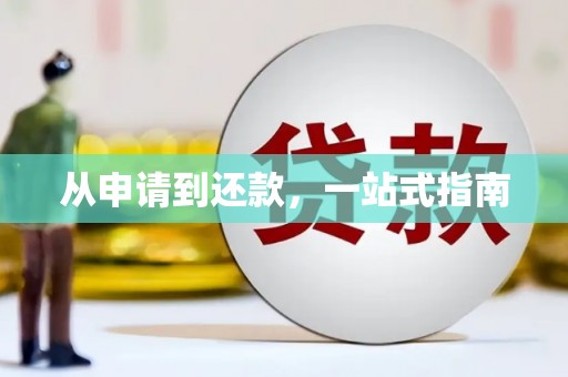 望奎从申请到还款，一站式指南