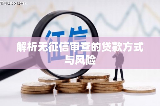 望奎解析无征信审查的贷款方式与风险