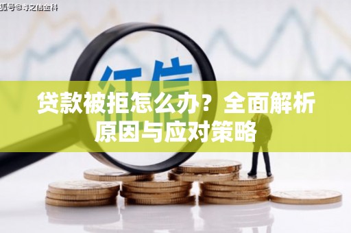望奎贷款被拒怎么办？全面解析原因与应对策略
