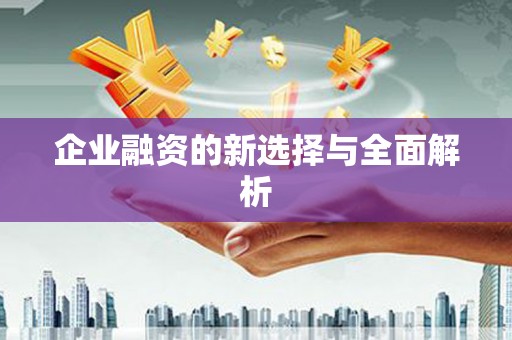 望奎企业融资的新选择与全面解析