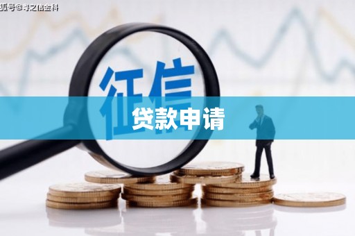 望奎贷款申请