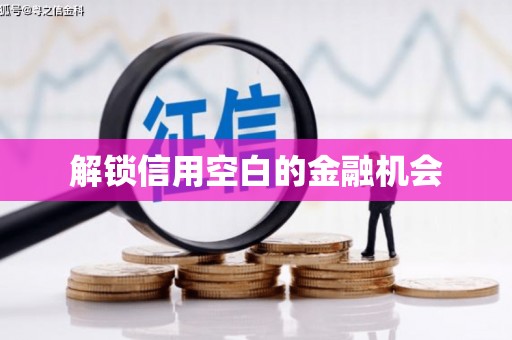 望奎解锁信用空白的金融机会