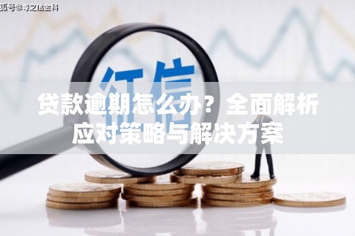 望奎贷款逾期怎么办？全面解析应对策略与解决方案