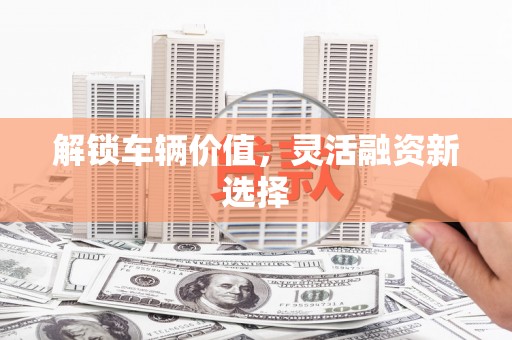 望奎解锁车辆价值，灵活融资新选择