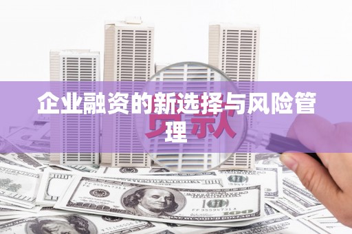 望奎企业融资的新选择与风险管理