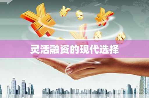 望奎灵活融资的现代选择