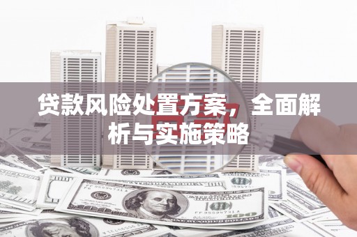 望奎贷款风险处置方案，全面解析与实施策略