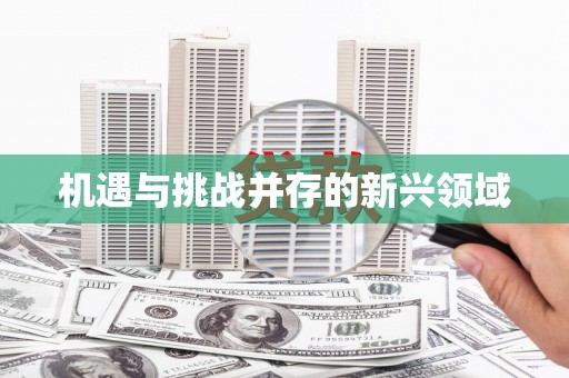 望奎机遇与挑战并存的新兴领域