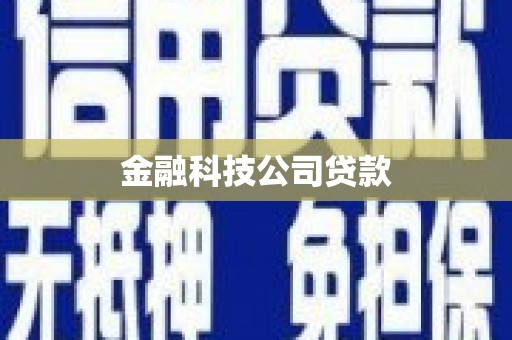 望奎金融科技公司贷款