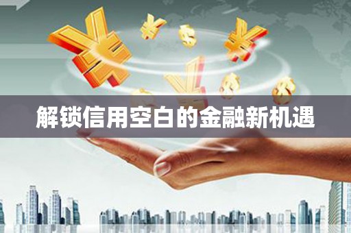 望奎解锁信用空白的金融新机遇