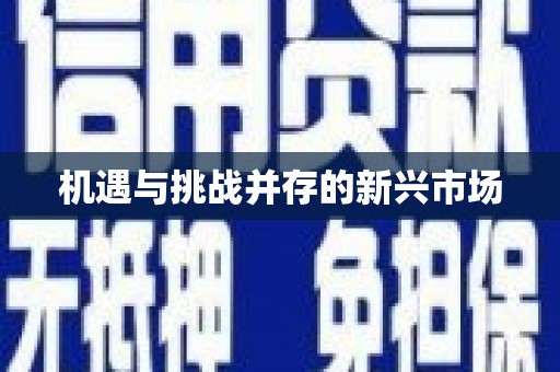 望奎机遇与挑战并存的新兴市场