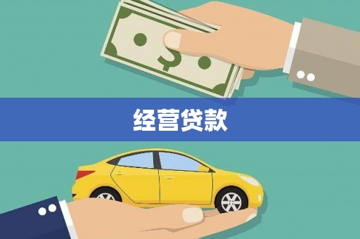 望奎经营贷款