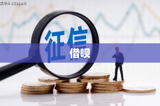 望奎借呗
