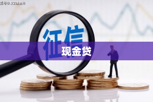 望奎现金贷