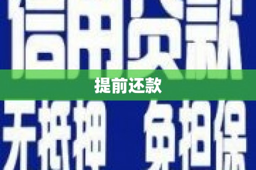望奎提前还款