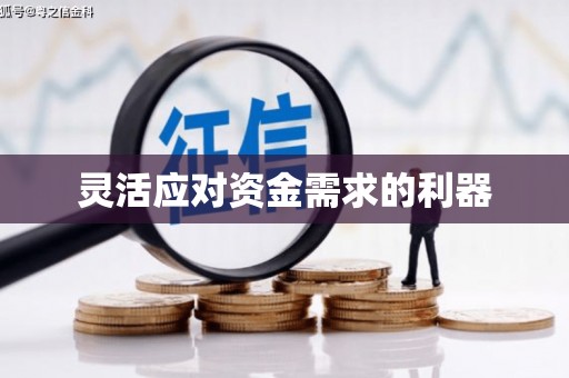 望奎灵活应对资金需求的利器