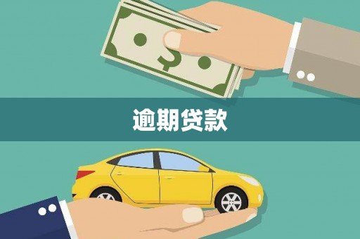 望奎逾期贷款