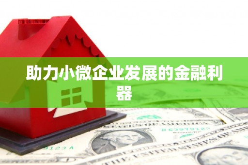 望奎助力小微企业发展的金融利器